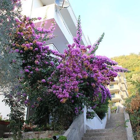 4M Apartments Petrovac Екстер'єр фото